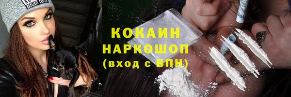 дживик Балахна